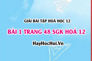 Giải bài 1 trang 48 SGK Hoá 12: Tính chất hoá học của Amino Axit